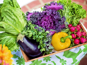 Schwerhörig durch Eisenmangel Schwerhörig durch Eisenmangel